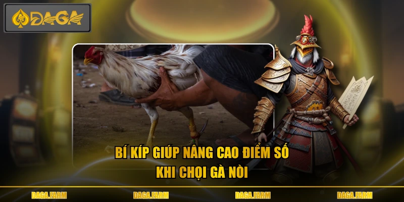 Bí kíp giúp nâng cao điểm số khi chọi gà nòi