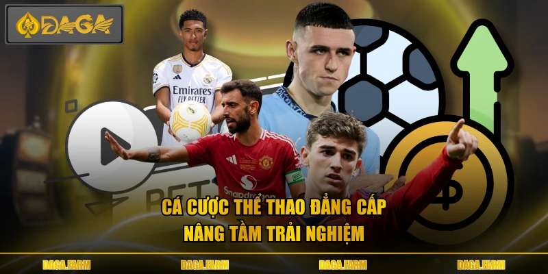 Cá cược thể thao đẳng cấp nâng tầm trải nghiệm 