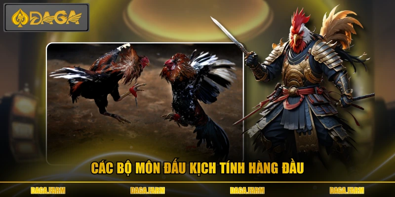 Các bộ môn đấu kịch tính hàng đầu