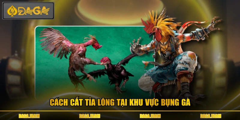 Cách cắt tỉa lông tại khu vực bụng gà