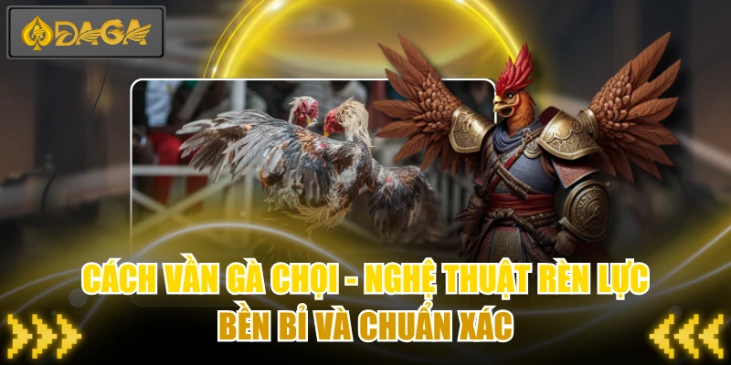 Cách Vần Gà Chọi - Nghệ Thuật Rèn Lực Bền Bỉ Và Chuẩn Xác