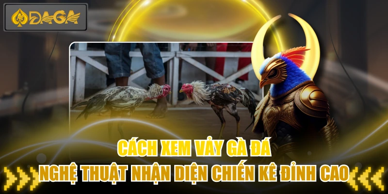 Cách Xem Vảy Gà Đá - Nghệ Thuật Nhận Diện Chiến Kê Đỉnh Cao