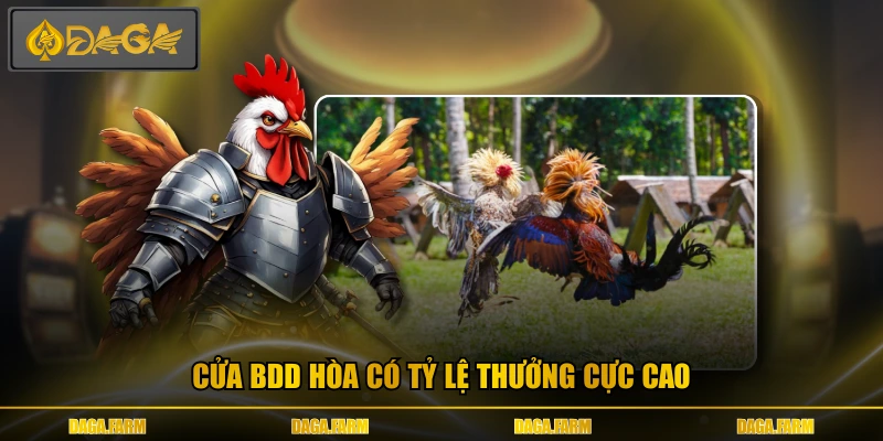 Cửa BDD hòa có tỷ lệ thưởng cực cao