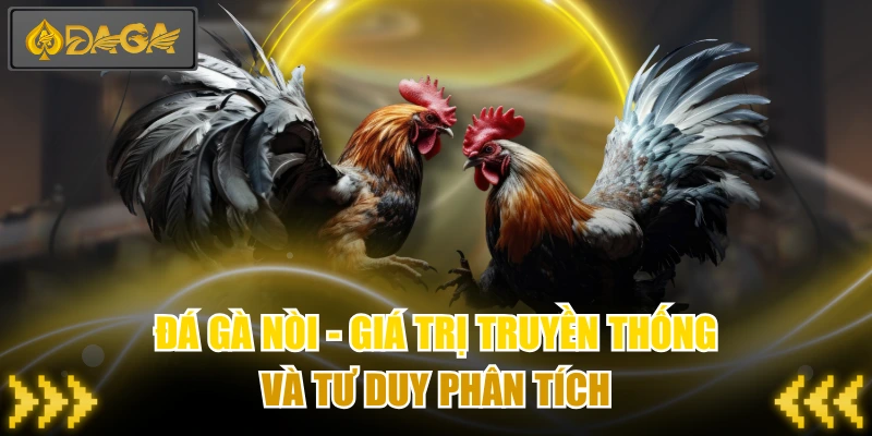 Đá Gà Nòi - Giá Trị Truyền Thống Và Tư Duy Phân Tích 