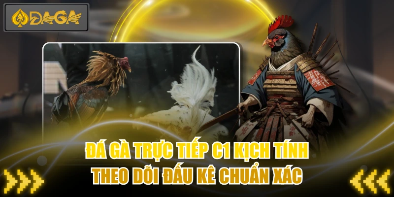 Đá Gà Trực Tiếp C1 Kịch Tính - Theo Dõi Đấu Kê Chuẩn Xác