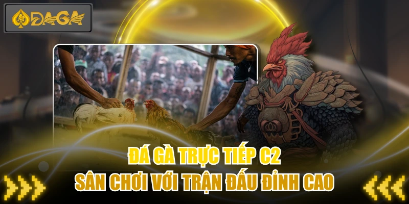 Đá Gà Trực Tiếp C2 - Sân Chơi Với Trận Đấu Đỉnh Cao