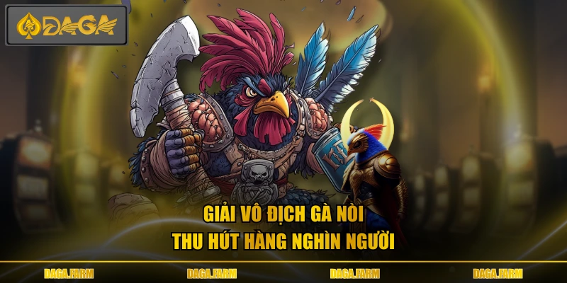 Giải vô địch gà nòi thu hút hàng nghìn người