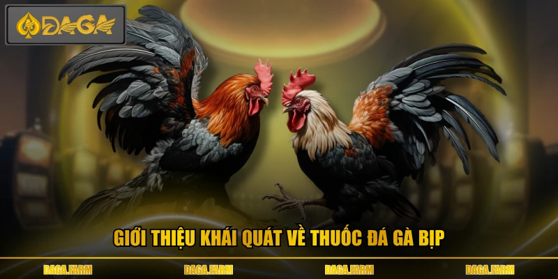 Giới thiệu khái quát về thuốc đá gà bịp