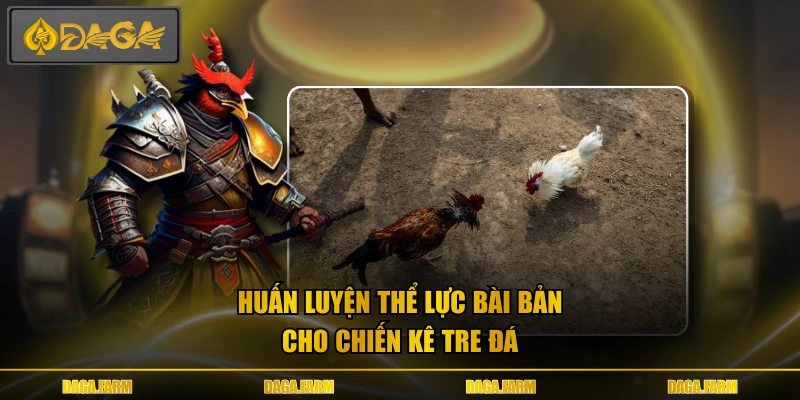 Huấn luyện thể lực bài bản cho chiến kê tre đá