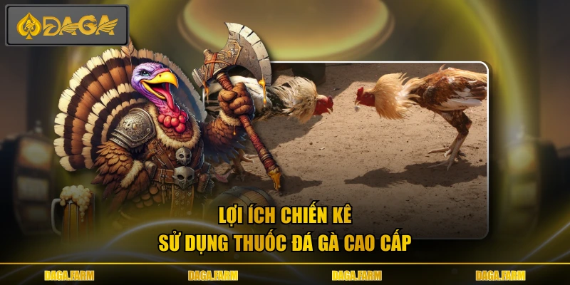 Lợi ích chiến kê sử dụng thuốc đá gà cao cấp