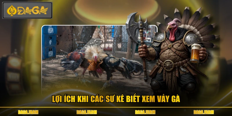 Lợi ích khi các sư kê biết xem vảy gà