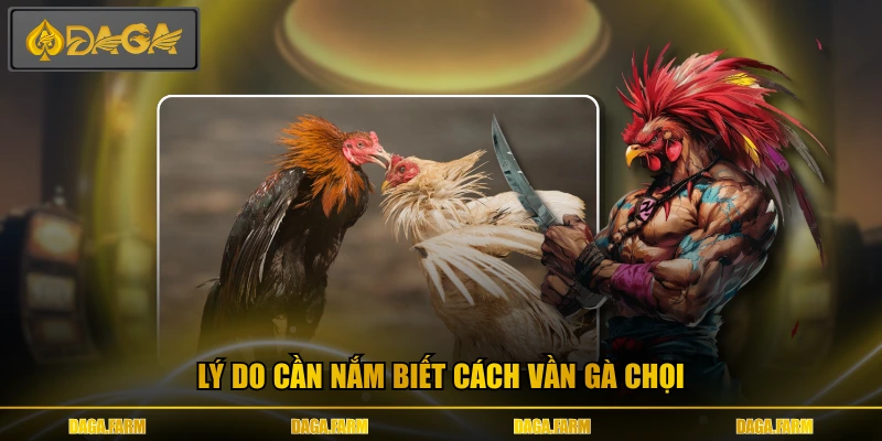 Lý do cần nắm biết cách vần gà chọi