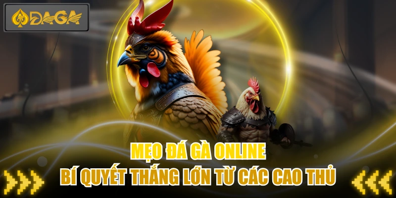 Mẹo Đá Gà Online - Bí Quyết Thắng Lớn Từ Các Cao Thủ