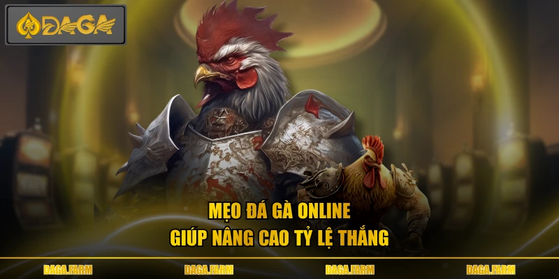Mẹo đá gà online giúp nâng cao tỷ lệ thắng