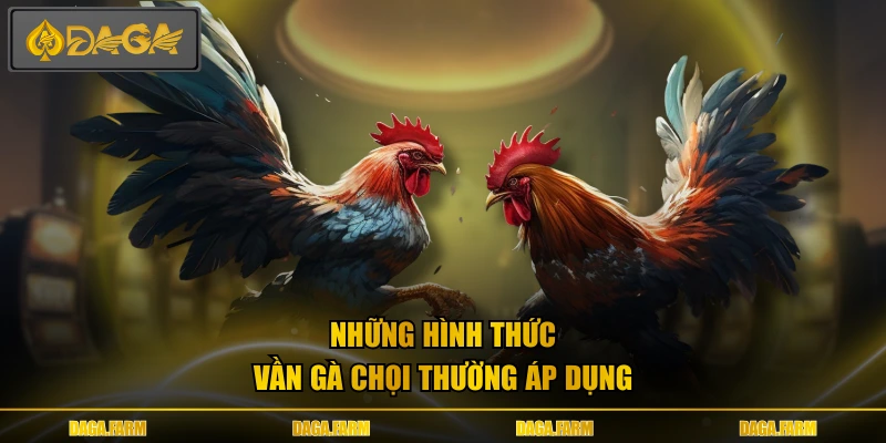 Những hình thức vần gà chọi thường áp dụng