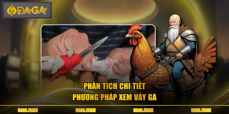 Phân tích chi tiết phương pháp xem vảy gà