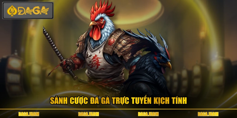 Sảnh cược đá gà trực tuyến kịch tính 
