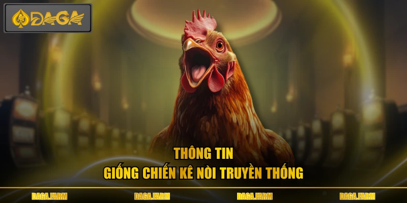 Thông tin giống chiến kê nòi truyền thống