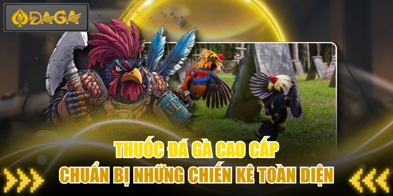 Thuốc Đá Gà Cao Cấp - Chuẩn Bị Những Chiến Kê Toàn Diện