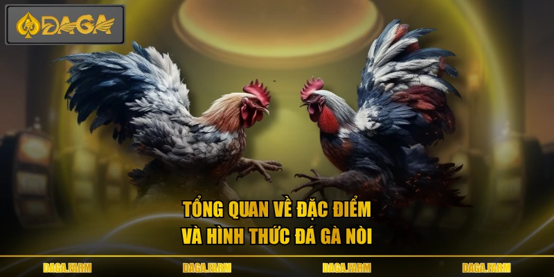 Tổng quan về đặc điểm và hình thức đá gà nòi