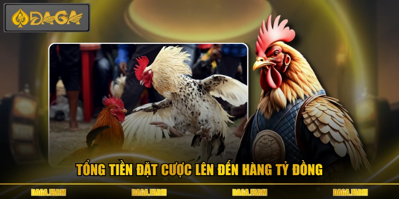 Tổng tiền đặt cược lên đến hàng tỷ đồng