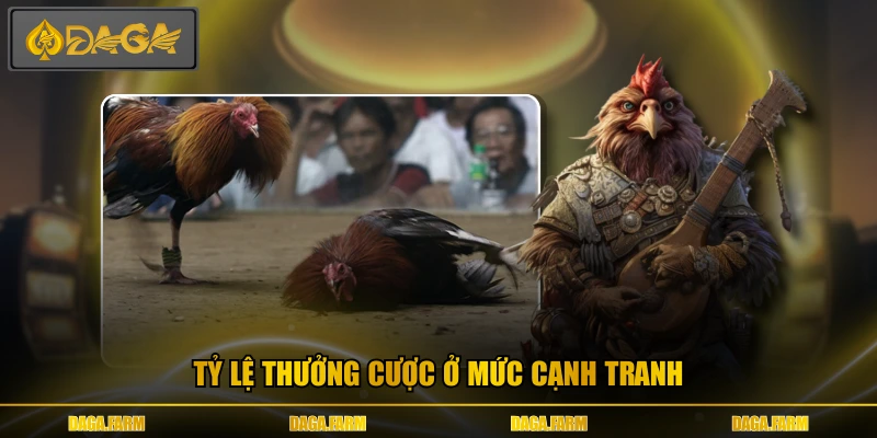 Tỷ lệ thưởng cược ở mức cạnh tranh