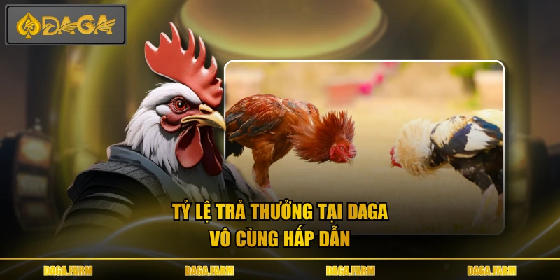 Tỷ lệ trả thưởng tại DAGA vô cùng hấp dẫn